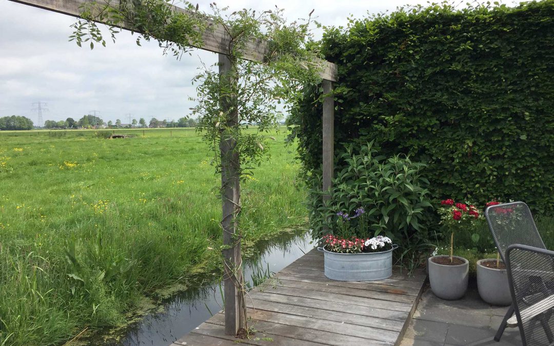 Tuin aan  het weiland