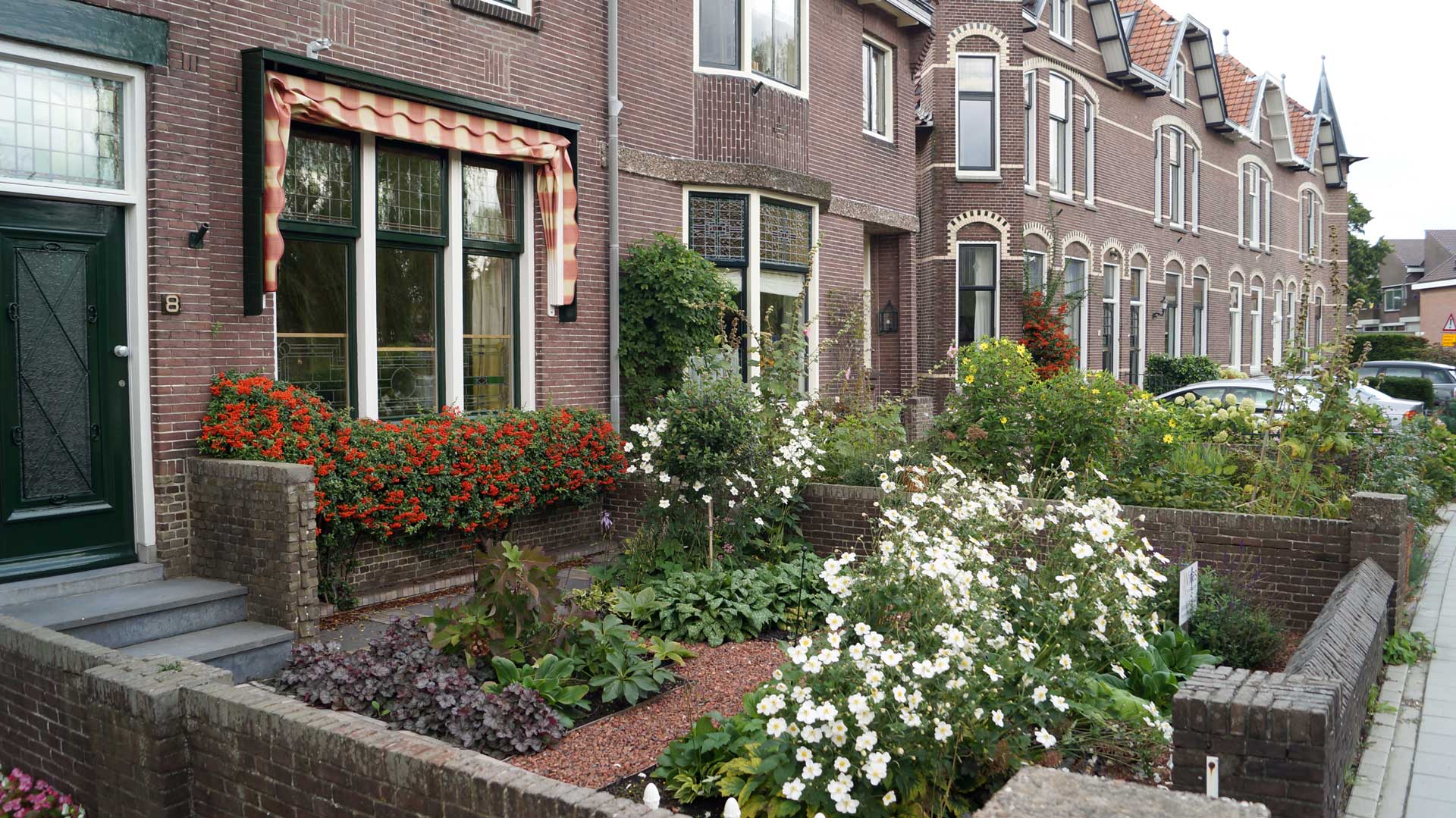 Cursus Een groene tuin zonder onderhoud Vicas Tuinontwerpen