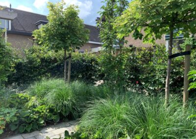 tuinontwerp tuinarchitect tuinontwerper Woerden Linschoten Montfoort Utrecht