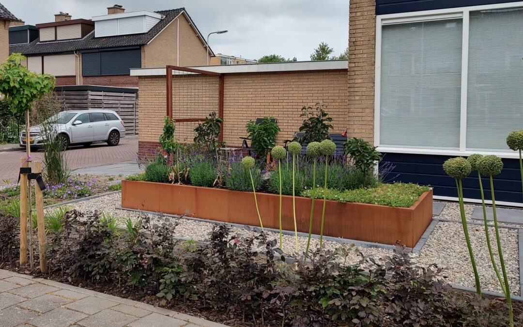 Moderne voortuin