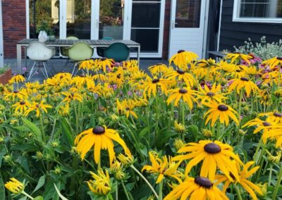 Tuinarchitect tuinontwerper Woerden moderne tuin - gele bloemen Rudbeckia