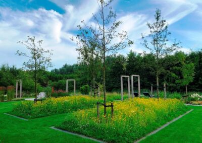 tuinontwerp met zichtlijnen in landelijke tuin