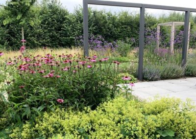 tuinontwerp met zichtlijnen in landelijke tuin