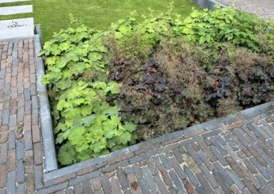 Tuinontwerp met zwembad - bladplanten border - tuinarchitect Woerden Montfoort Utrecht
