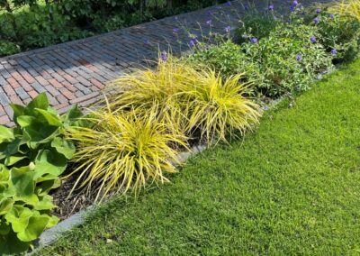 Tuinontwerp met zwembad en poolhouse - onderhoudsarm siergrassen prairieplanten - tuinarchitect Woerden Montfoort Utrecht