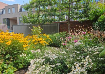 planten natuurvriendelijke tuin ontwerp Woerden Utrecht